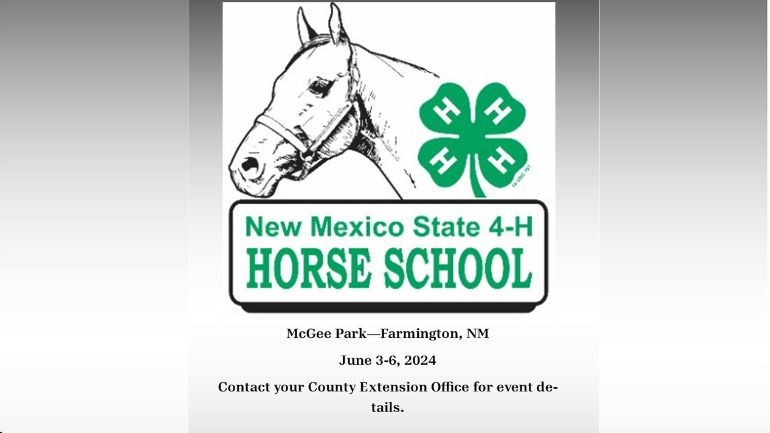 Horse School 2024 flyer