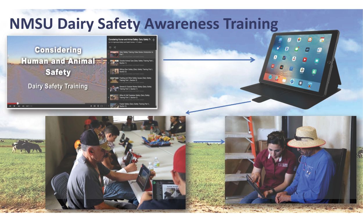 Image promoting NMSU's Dairy Safety Awareness training